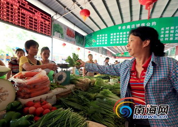 海南將建立東西部蔬菜交易市場，減免市場攤位費助力農副產品流通