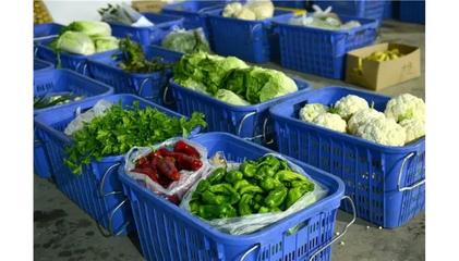 農副產品配送 連接田間與餐桌的現代橋梁