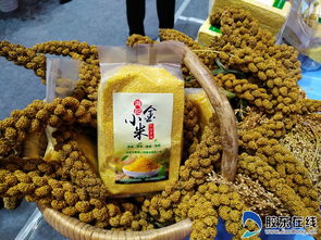 高清圖美翻了！果蔬會上奇瓜異果引爆眼球，農副產品煥發新光彩