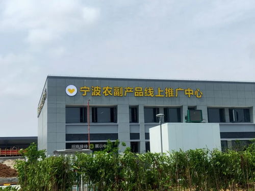 寧波農副產品物流中心一期試運營開啟 農產品流通新樞紐，便捷交通指南助您暢行