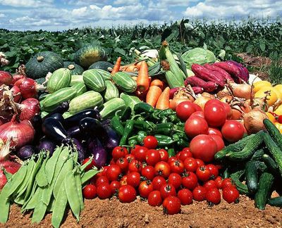 農副產品“價賤傷農”背后 價格低迷為何仍陷銷售困境？